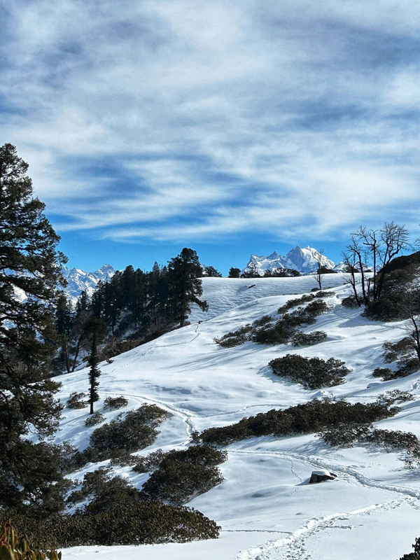 Kedarkantha Trek Guide